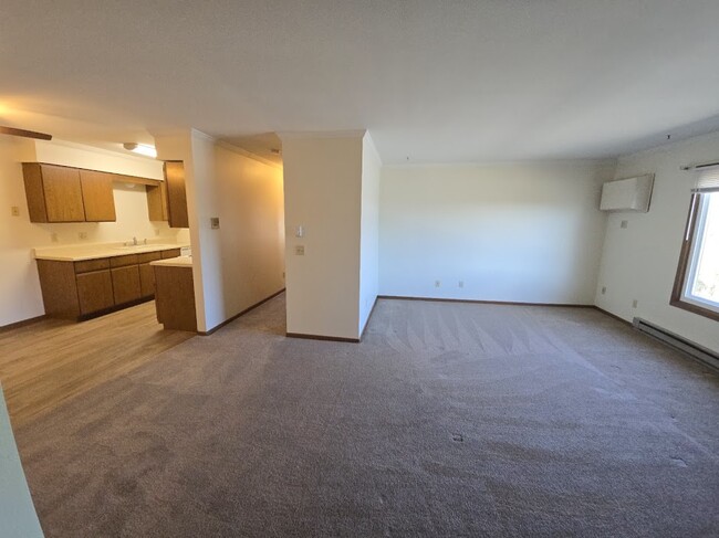 Livingroom and Kitchen
