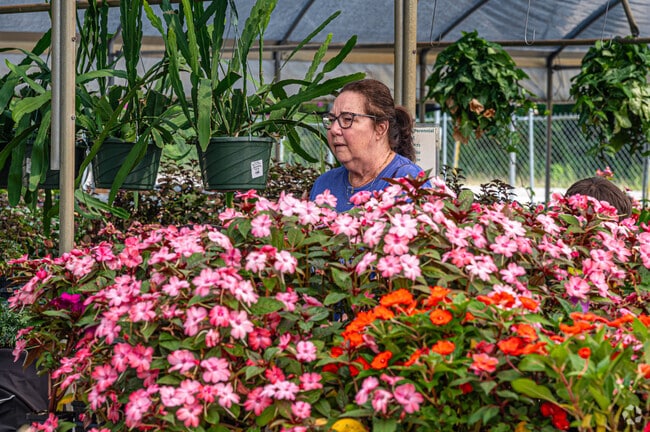 Banting's Nursery in Lacombe carries a wide variety of plants.