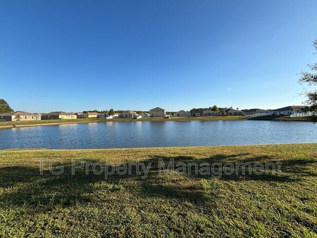 15668 Palfrey Chase Dr, Jacksonville, FL 32234 - photo 3