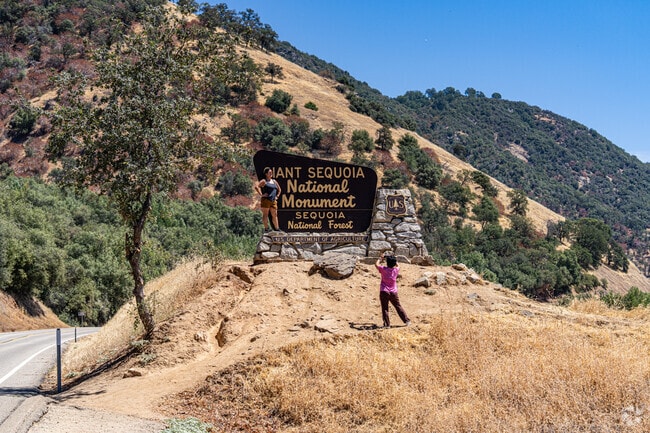 Giant Sequoia National Monument is a breathtaking stop for scenic trails and forest views.