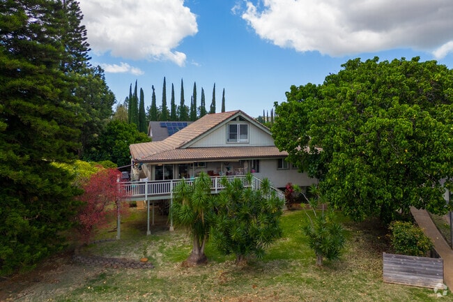 Pukalani's streets are adorned with a variety of beautiful trees.