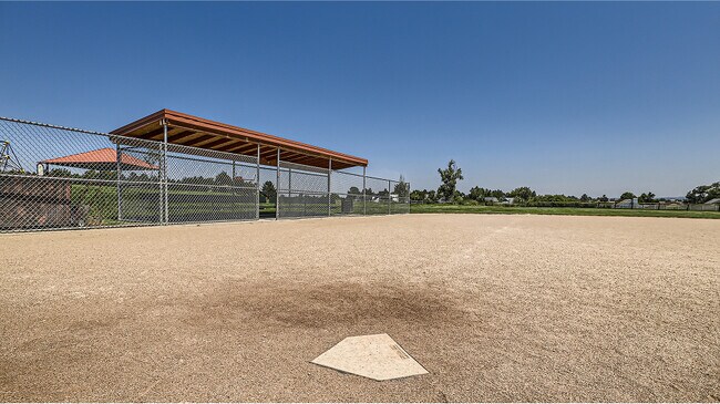Ken Caryl Ranch Amenities Sport Court