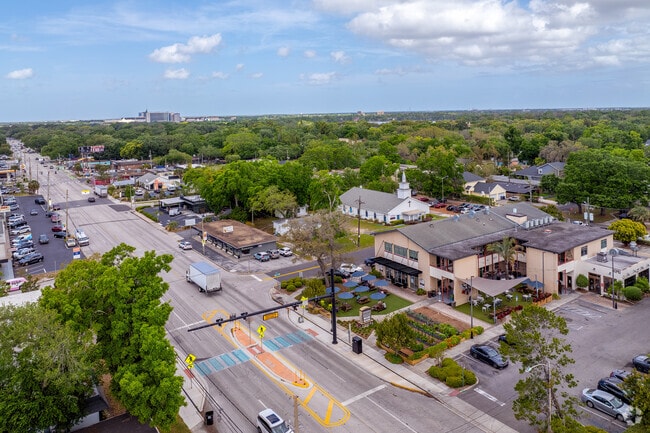 Mature trees grace the Audubon Park skyline, providing neighborhood privacy.