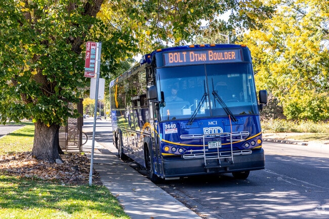 Public transportation options include RTD bus lines for Pike residents.