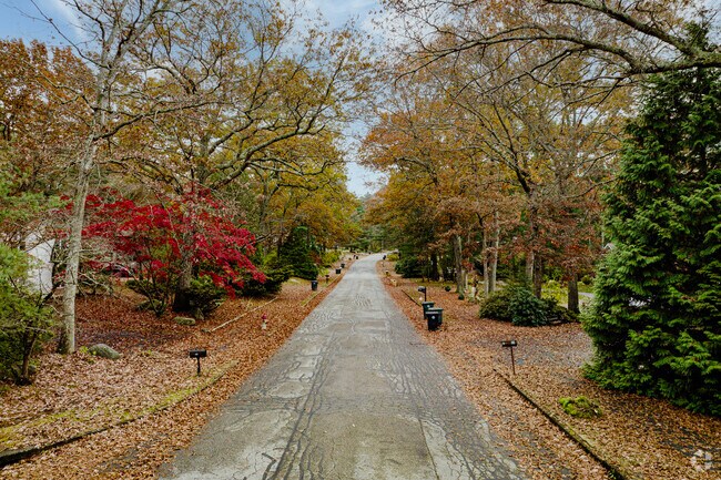 Centreville's tree lined streets give way to beautiful fall foliage.