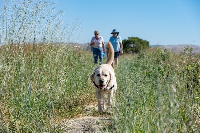 Enjoy walking your dog in Black Point at Vince Mulroy Nature Preserve.