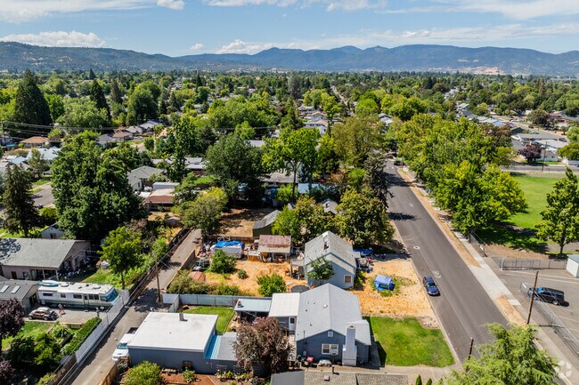 Washington streets are covered with foliage.