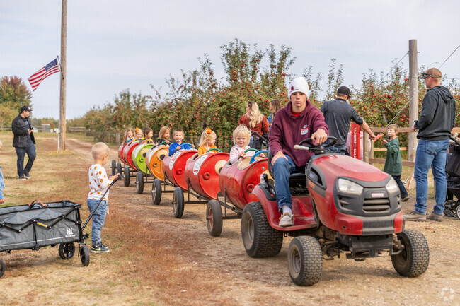 Little ones can ride around the grounds in their own little tractor cars at the Falls Festival.