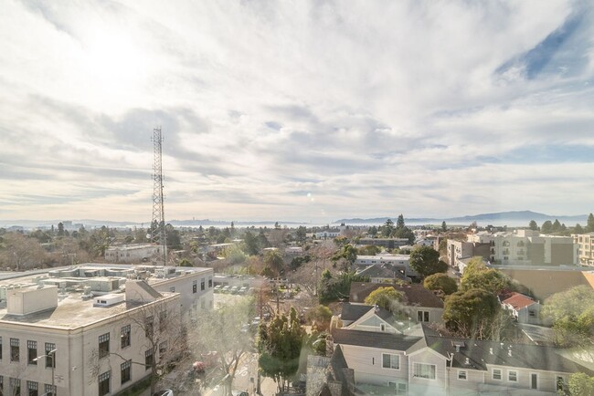 Rooftop View