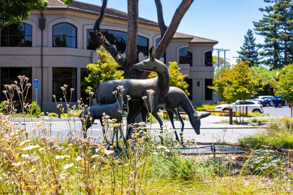 NH_Menlo Oaks_543502_P2_060324.mp4