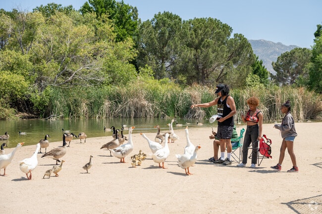 Hesperia Lake offers Angeles Acres residents fishing and a nice place to bird watch.