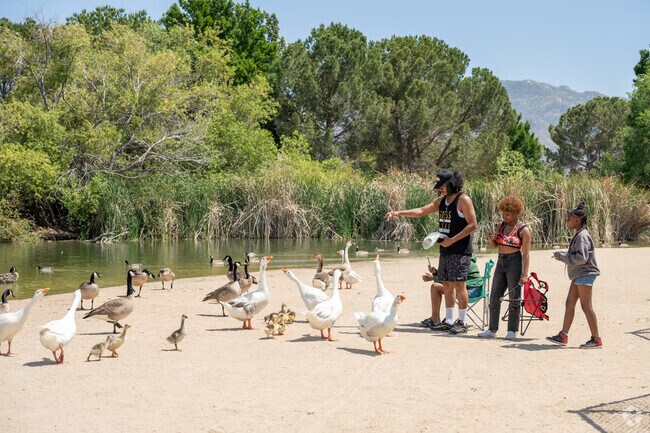Hesperia Lake offers fishing and a nice place to bird watch.