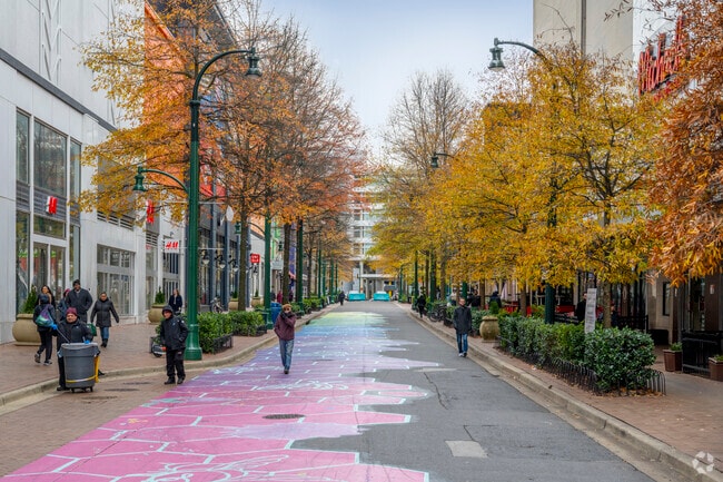Ellsworth Drive is a pedestrian only shopping area in Downtown Silver Spring.