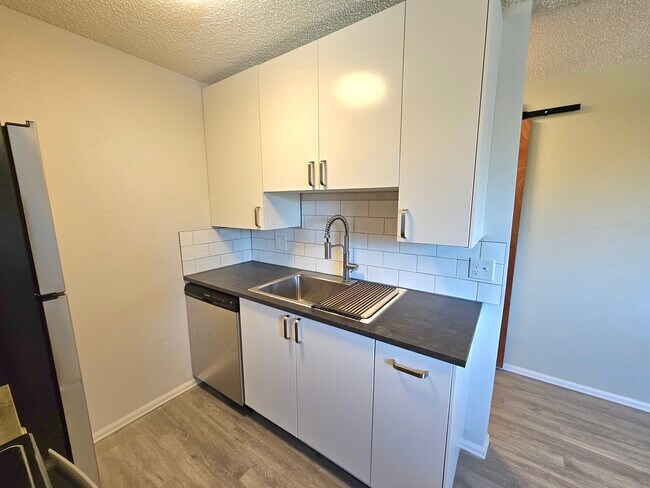 Dishwasher and Gourmet sink and soft-close cabinetry
