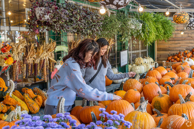 Conemaugh is only 15 minutes from shops like Ray's Florist in Johnstown.