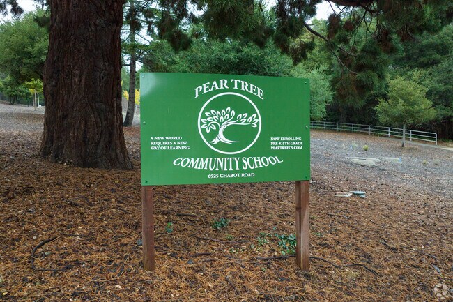 Pear Tree Community School is a social justice-informed Montessori elementary school.