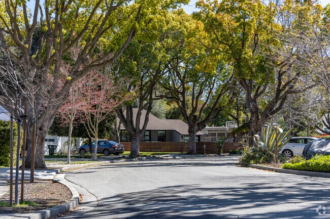The beautiful trees of Flood Park keep homes shady and cool.