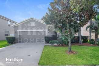 10833 Kirkwall Port Dr, Wimauma, FL 33598