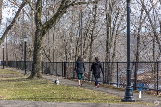 Take a furry friend for a walk in Tarentum.