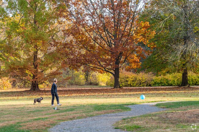 Locals bring their dogs to play at Kalmbach Park.