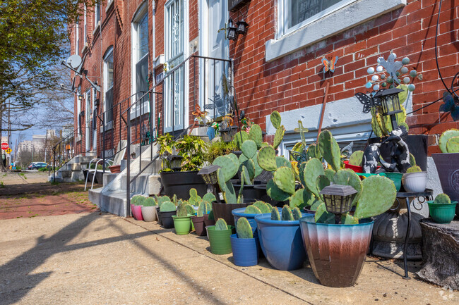 A front area adorned with plenty of cacti in 11th St. Bridge.
