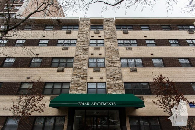 510 W Briar Place unit 509, Chicago, IL 60657 - photo 2
