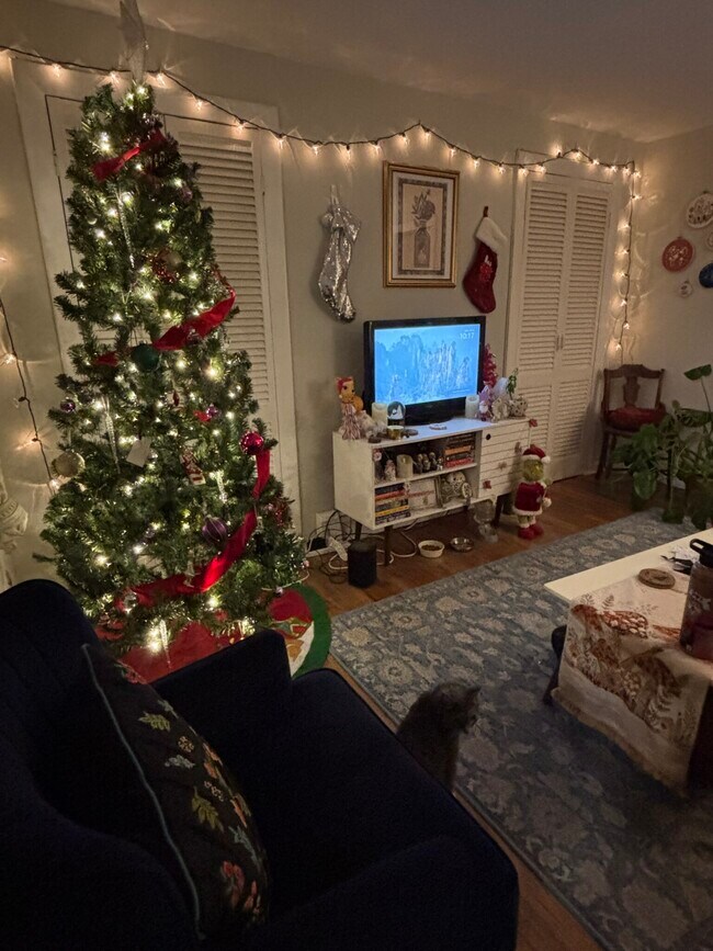 247 Bennington St unit 3, Boston, MA 02128 - photo 5