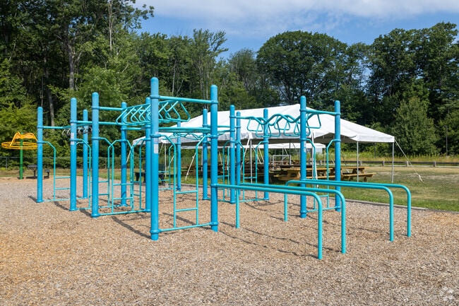 The playground at Ocean Avenue Elementary School features colorful monkey bars.