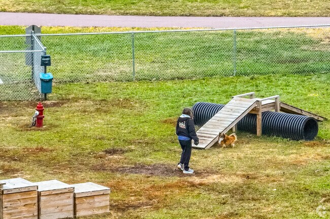 Locals enjoy time with their furry friends at Jackson's park.