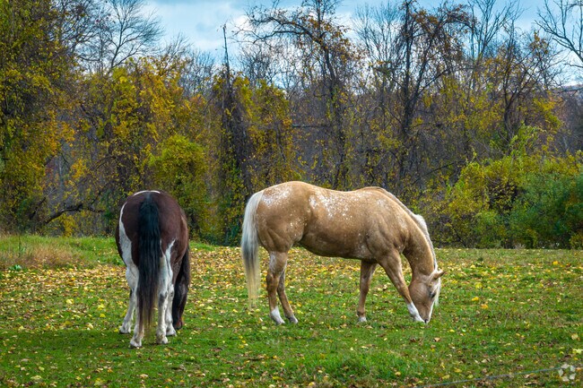 Between trees on any street in Hope Township you'll see farm land, and maybe even horses too.