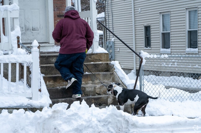A man and his dog climb the stairs to a home at Union Hill, Worcester.