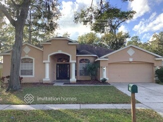 3721 Hollow Wood Dr, Valrico, FL 33596