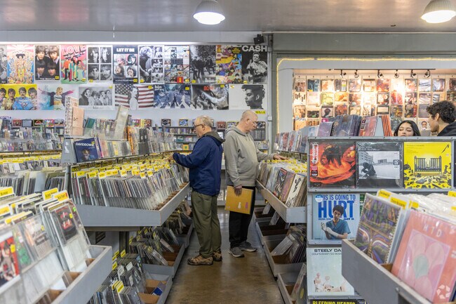Residents of Panoramic Hills can head to downtown Berkeley to Amoeba Records for some shopping.
