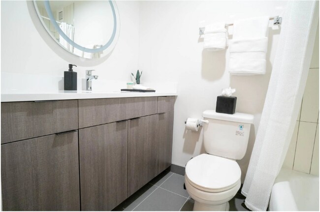 19 E Chestnut St, Chicago, IL 60611 - photo 7