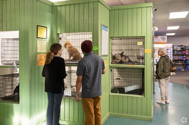 Art in Motion pet store in Laural Valley offers pet adoptions and basic accessories.