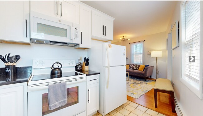 1002 Tremont St unit 8-4, Roxbury Crossing, MA 02120 - photo 3