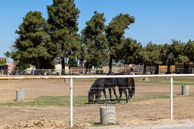 Nottingham Estates' horse farm promises unparalleled equestrian experiences.