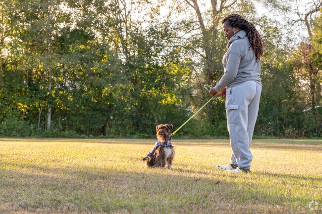 Havana Community Park is a well kept, pet friendly park in Havana.
