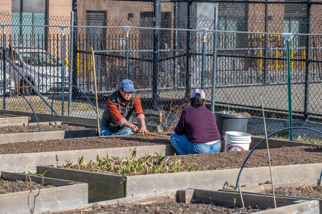 Those with a green thumb may purchase a plot in the community garden at Lincoln Park and Pool.