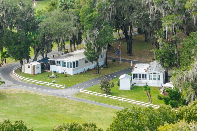 This row of manufactured homes is shaded by the canopy of mature trees in Reddick-McIntosh.