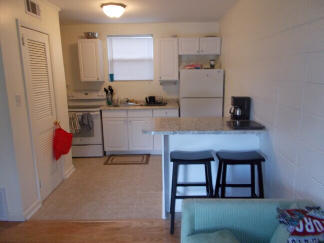 165 Talmadge St unit 4, Athens, GA 30605 - photo 4