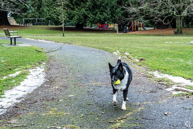 Argay Park is a pet-friendly park with plenty of open space to enjoy.
