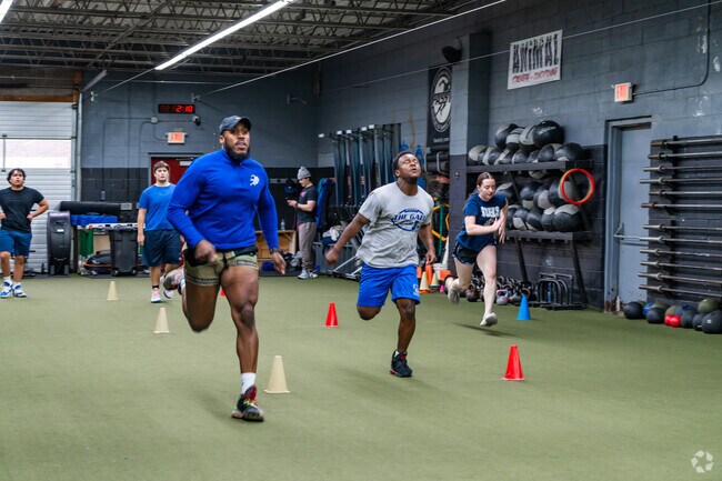 ANiMAL Strength & Conditioning in Lyndhurst offers people a place to stay fit.
