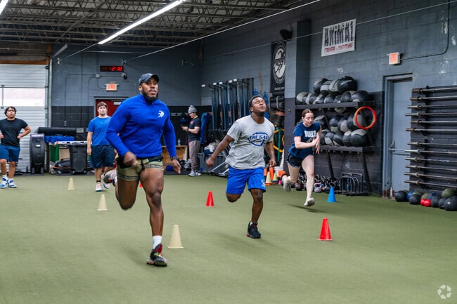 ANiMAL Strength & Conditioning in Lyndhurst is a go-to for fitness and training.