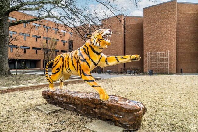 U of M brings a vibrant feel to the Audubon Park community.