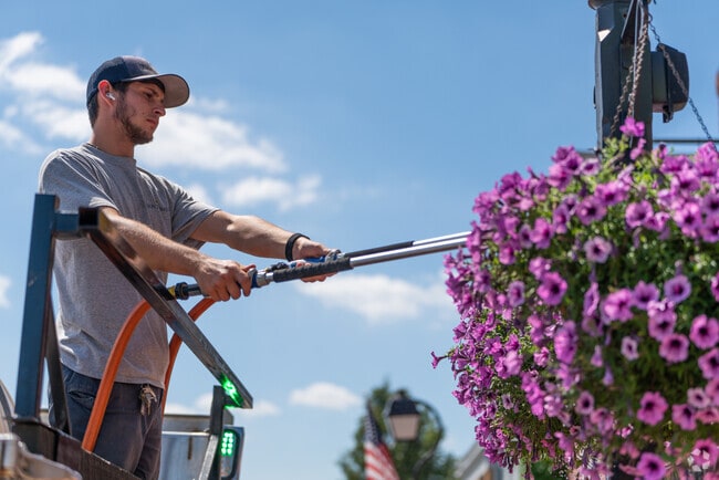 A local watering flowers on the sidewalks of Blue Ash, OH.