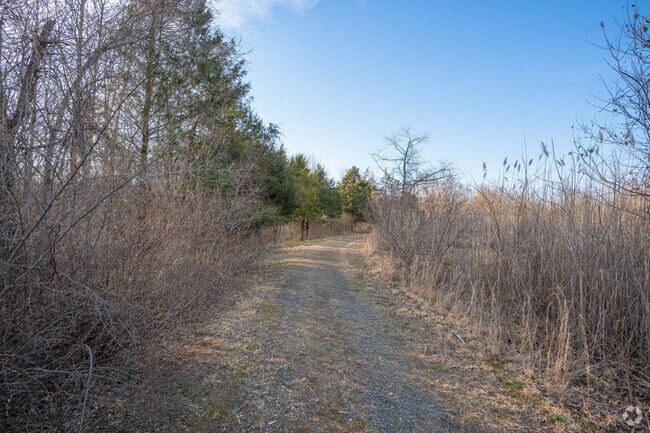 Enjoy the various hiking trails in Marlboro Meadows.