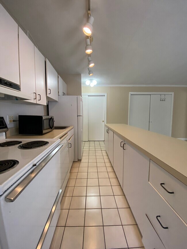 123 Sewall Ave unit 1A, Brookline, MA 02446 - photo 5