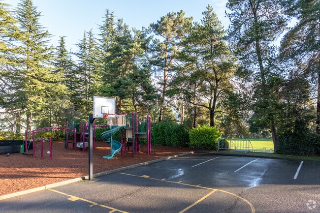 Sacred Heart School basketball court.
