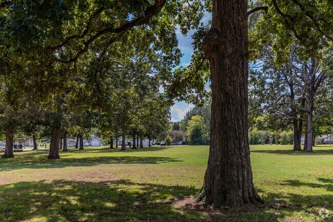 Albert Jones Park's trees were planted by the Henry Clay Elementary school students in Paducah.